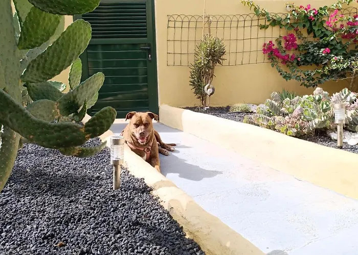 Апартаменты El Caseto *