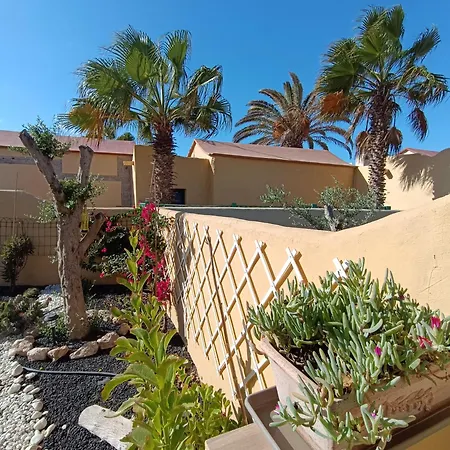 El Caseto * Costa Calma