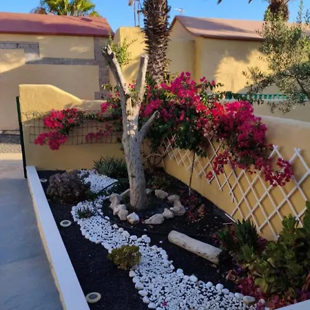 El Caseto Daire Costa Calma