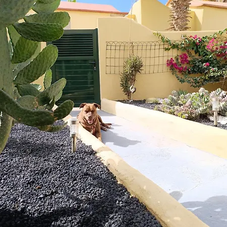 Apartament El Caseto *